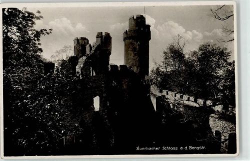 Auerbach Schloss