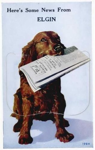 Elgin Elgin (Großbritannien) Leporello Hund, Zeitung I-II