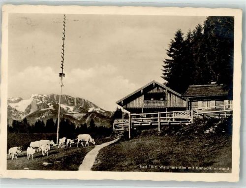 Waldherralm 1937 Weidende Kühe vor der Berghütte mit der Benediktenwand Fotograf Marey
