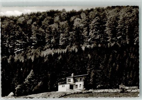 Willingen Pension Waldhaus Bänfer
