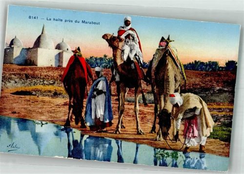 Ein Halt in der Nähe des Marabout Oase Beduinen Kamel
