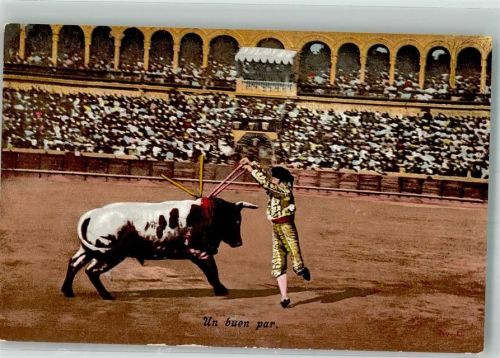 Torero platziert seine Banderillas im Stiernacken