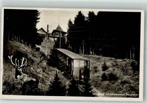 Bad Wildbad 1939 Hirsch neben der Bergbahn zum Sommerberg