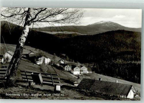 Sommerau Arber