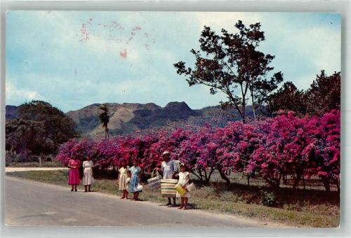 Panama City 1961 El Valle de Anton Prov. de Coclé Luftpost