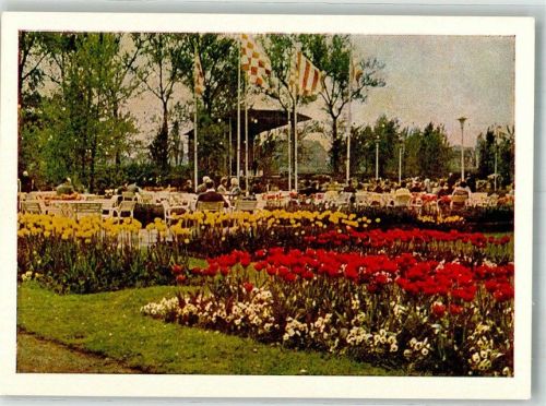 Köln Deutz 105 1957 Am Musikpavillon Bundesgartenschau