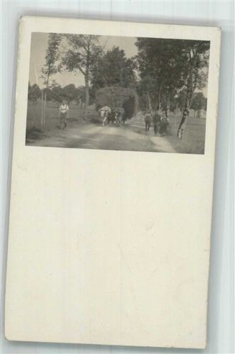 1920 Heuernte