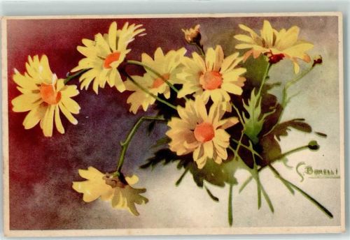 Blumen Margeriten AK