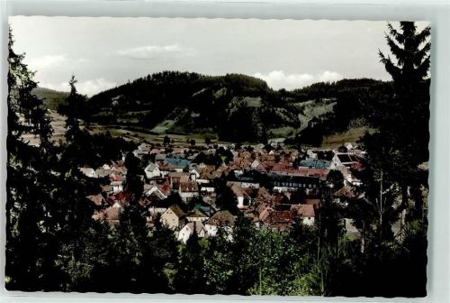 Steinwiesen