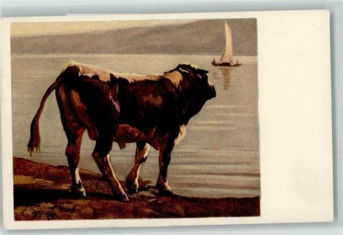 Pro Juventute Schwarzfleck Stier AK