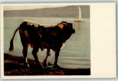 Pro Juventute Schwarzfleck Stier AK