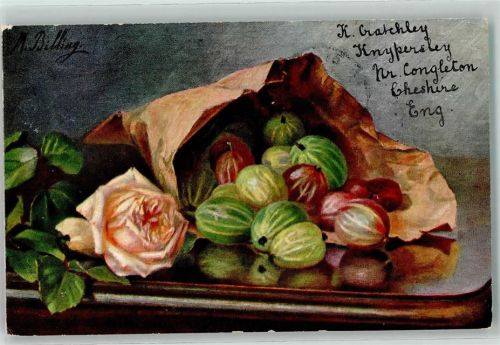 1911 Stilleben Früchte Stachelbeeren in der Tüte AK