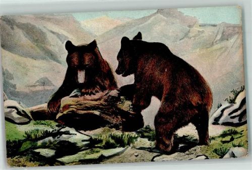 in den Bergen AK Bär 1904