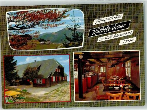 Untermünstertal Almgasthaus Kälbelescheuer