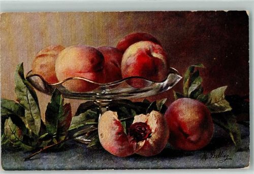 1907 Früchte Pfirsich Obstschale AK
