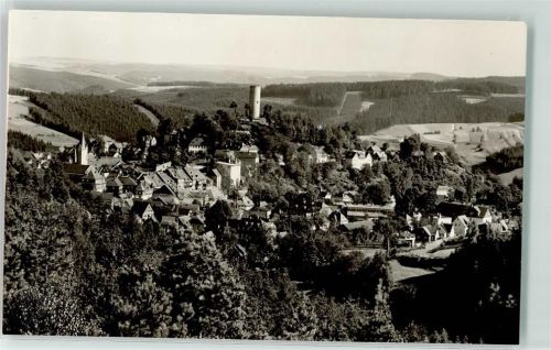 Lobenstein Blick v. Gehege