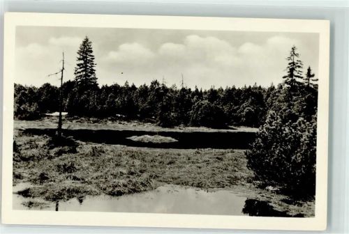 Carlsfeld Großes Kranichsee Hochmoor Naturschutzgebiet