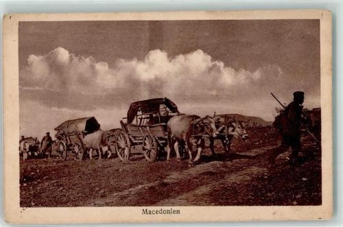 1918 Ochsenfuhrwerk