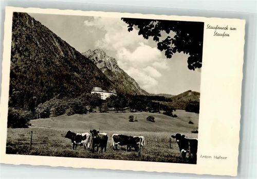 Piding Schloß Staufeneck Rinderweide Hochstaufen