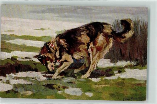 Schäferhund sign. J. W. v.d. Heide