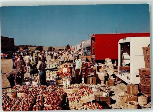 the Kitchener Waterloo Stockyards Marktszene