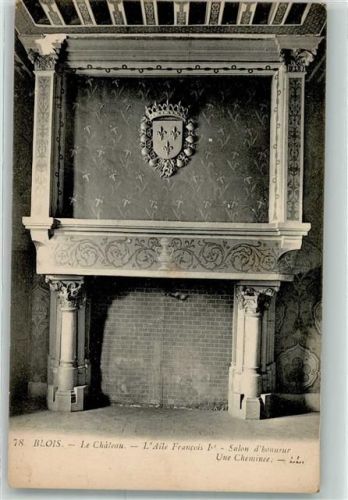 Blois le Chateau l`Aile Francois Salon d`bonneur une Cheminee