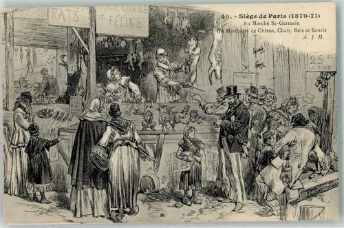 Saint-Germain Auf dem Markt Pariser Hauptsitz Hundee