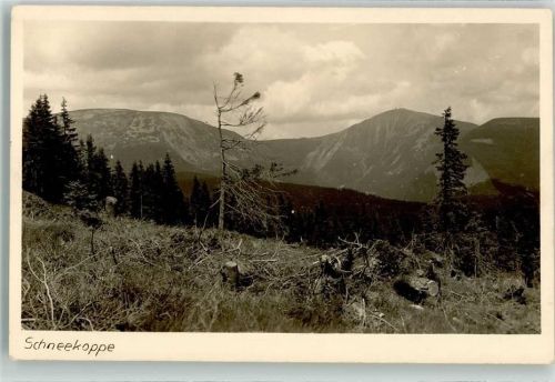 Schneekoppe
