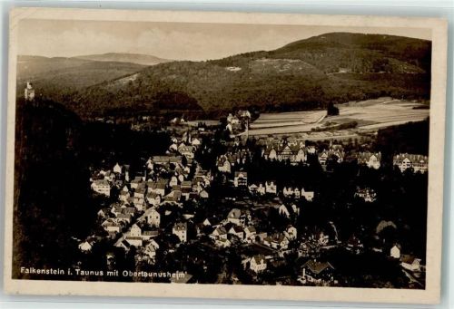 Falkenstein Obertaunusheim