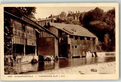 Champagnole Tanneries sur l`Ain