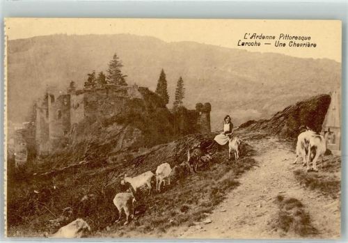 La Roche-en-Ardenne Burganlage Ziegen