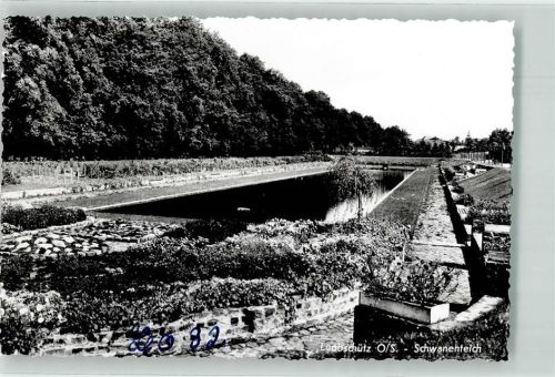 Leobschütz Schwanenteich Foto Schöning & Co