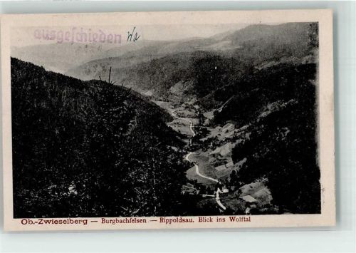 Zwieselberg Burgbachfelsen Bad Rippodsau Vogelschau Wolftal