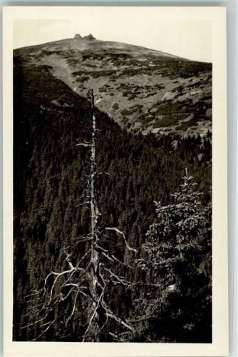 Schneekoppe