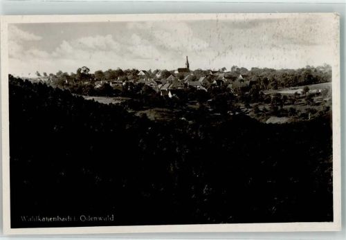 Waldkatzenbach