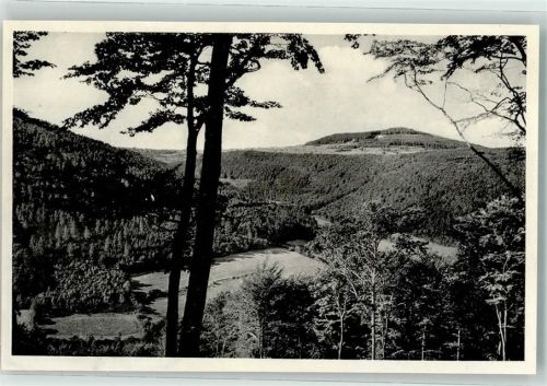 Waldkatzenbach Höllengrund mit Katzenbuckel