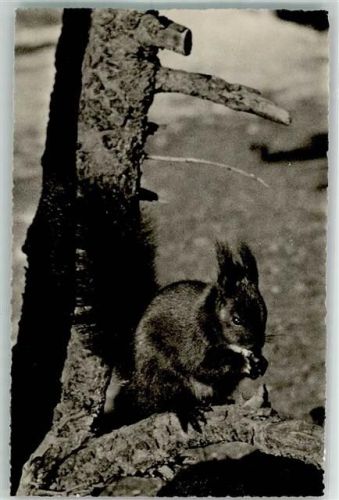 1947 Photo Otto Furter Davos