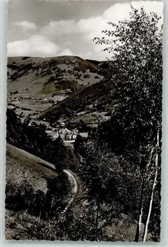 Neuenweg Belchen Vogelschau