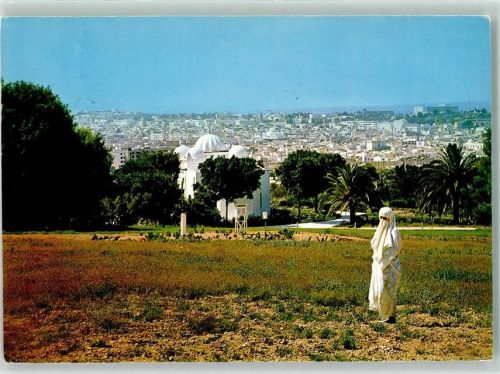Tunis Vue Generale Moschee Volkstyp Palmen