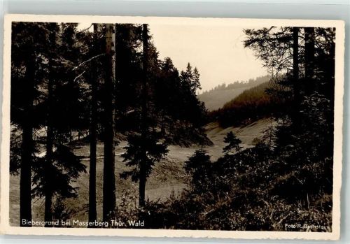 Masserberg Biebergrund Wald