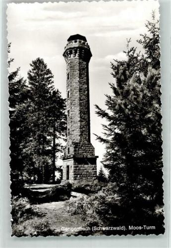 Gengenbach Moos Turm Schwarzwald