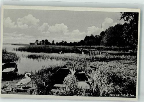 Königs Wusterhausen Am Krüpel See Schwan
