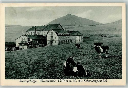 Wiesenbaude Riesengebirge