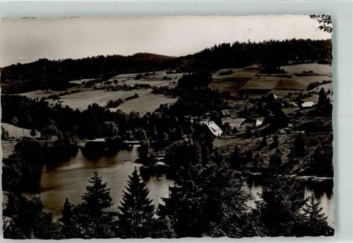 Wittenschwand Klosterweiher