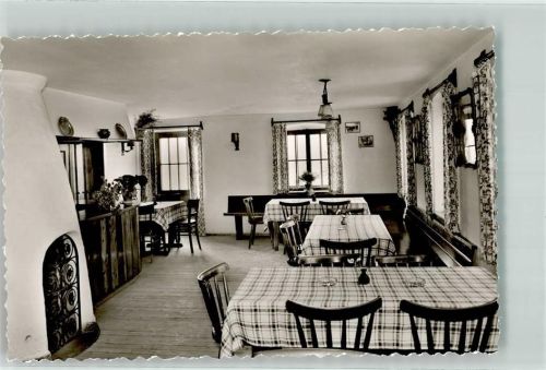 Burgberg Gasthaus Pension Sonnenhalde Gastraum Wandbild Kamin Pflanzen Tisch Stuhl Speiseraum
