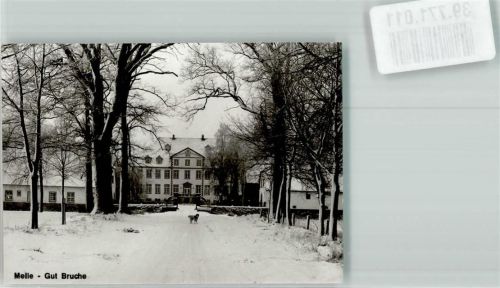 Melle Gut Buche Winter Foto Original aus Archiv eines Ansichtskartenverlags