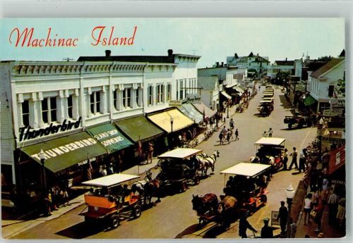 Boston Handlung Pferdewageen Mackinac Island Main Street Michigan