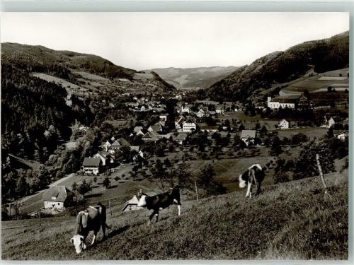 Simonswald Kühe Weide