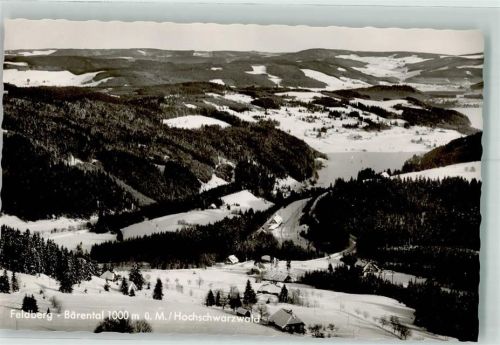 Bärental Winter Blick zum Titisee