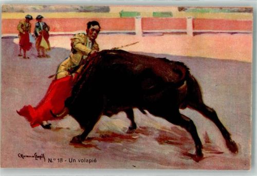 Stierkampf Torero